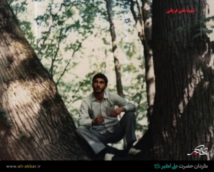 شهید علی قربانی