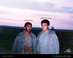 شهید علی قربانی - شهید علی معروف خانی