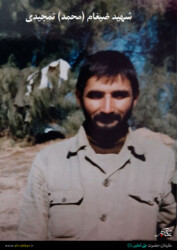 شهید ضیغام (محمد) تمجیدی